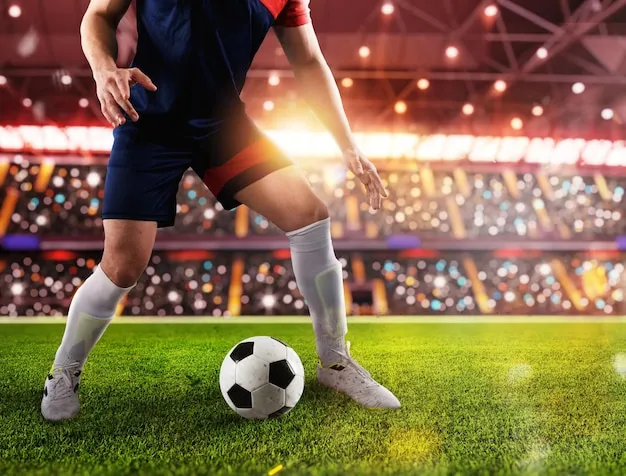 6T体育应用界面展示